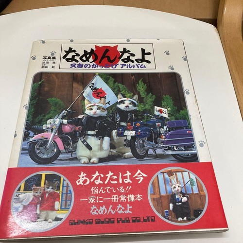 Nameneko cats photo - cats,