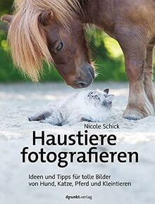 Haustiere fotografieren ideen - haustiere,