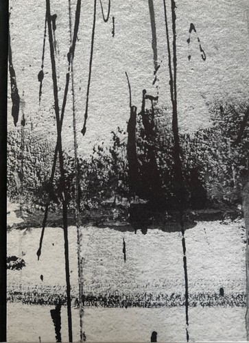 Gaudenz signorell - gaudenz,